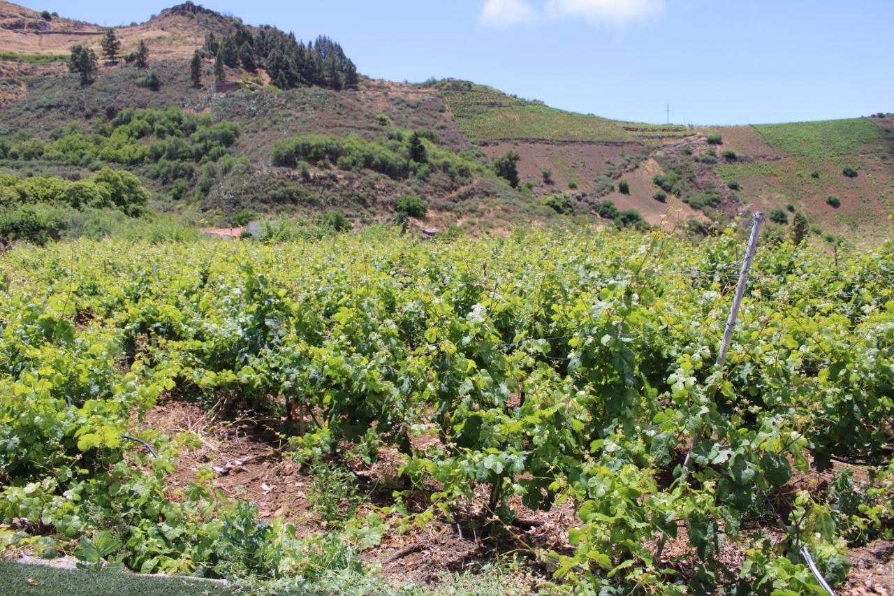 라스팔마스 Finca El Cole 빌라 외부 사진