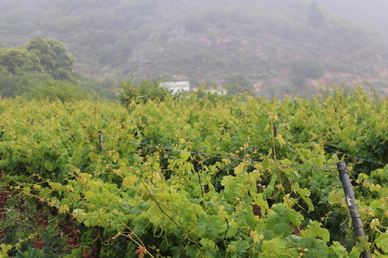 라스팔마스 Finca El Cole 빌라 외부 사진