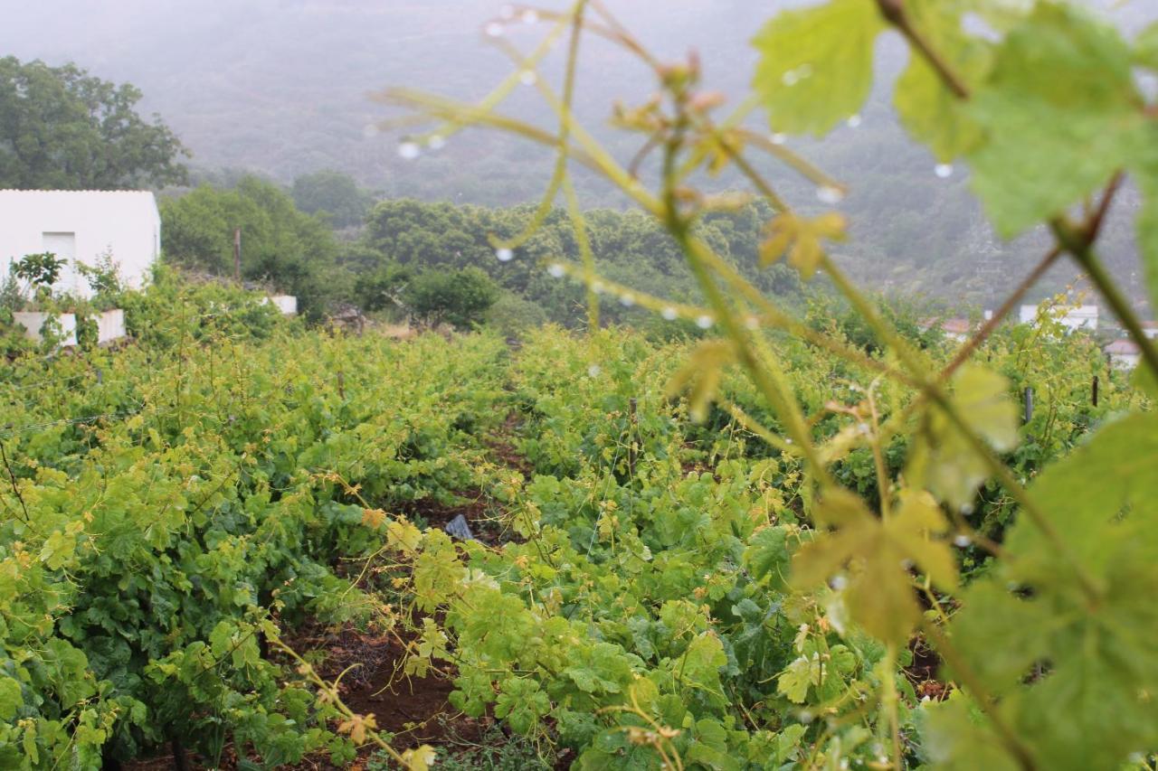 라스팔마스 Finca El Cole 빌라 외부 사진