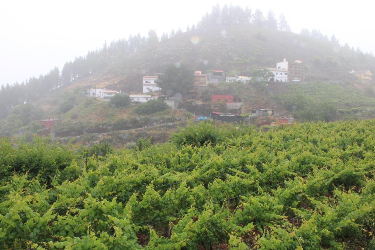 라스팔마스 Finca El Cole 빌라 외부 사진