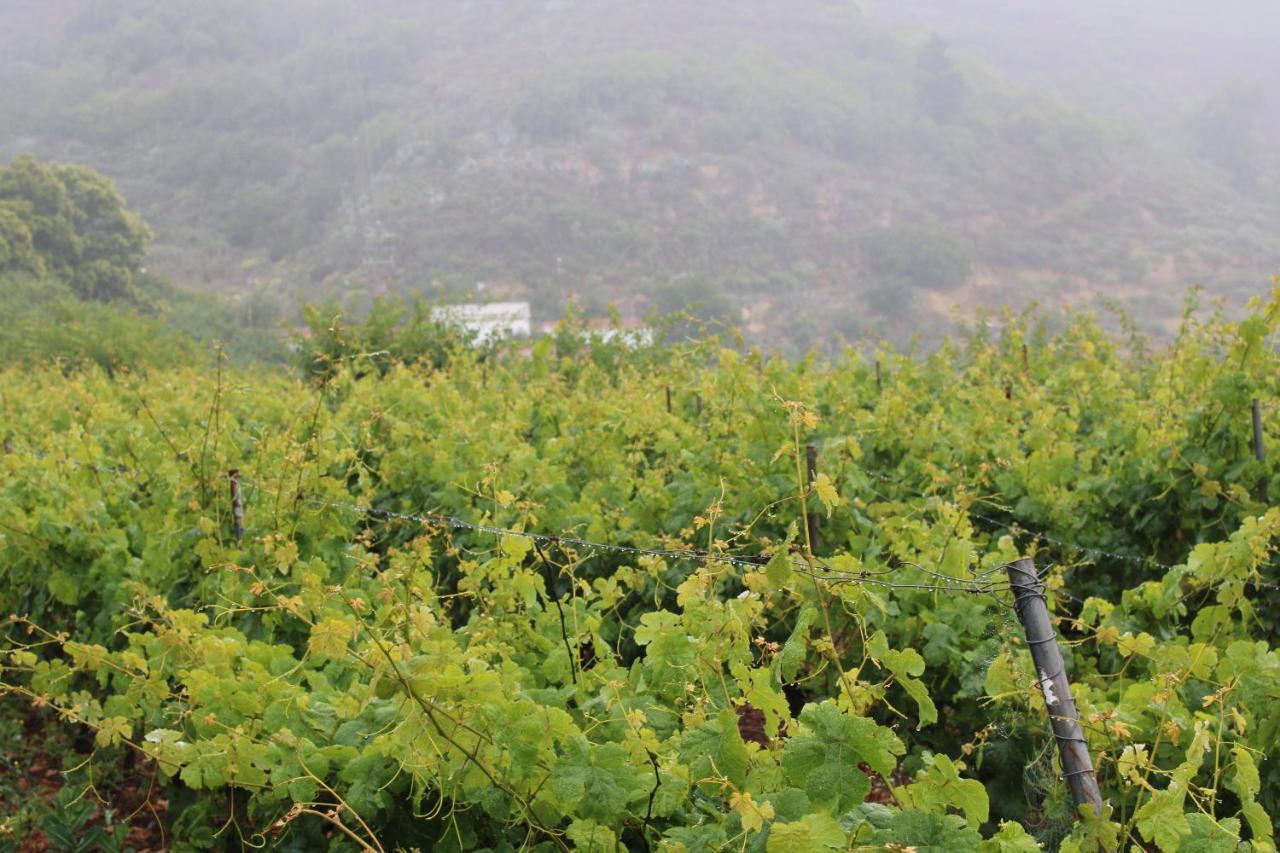 라스팔마스 Finca El Cole 빌라 외부 사진
