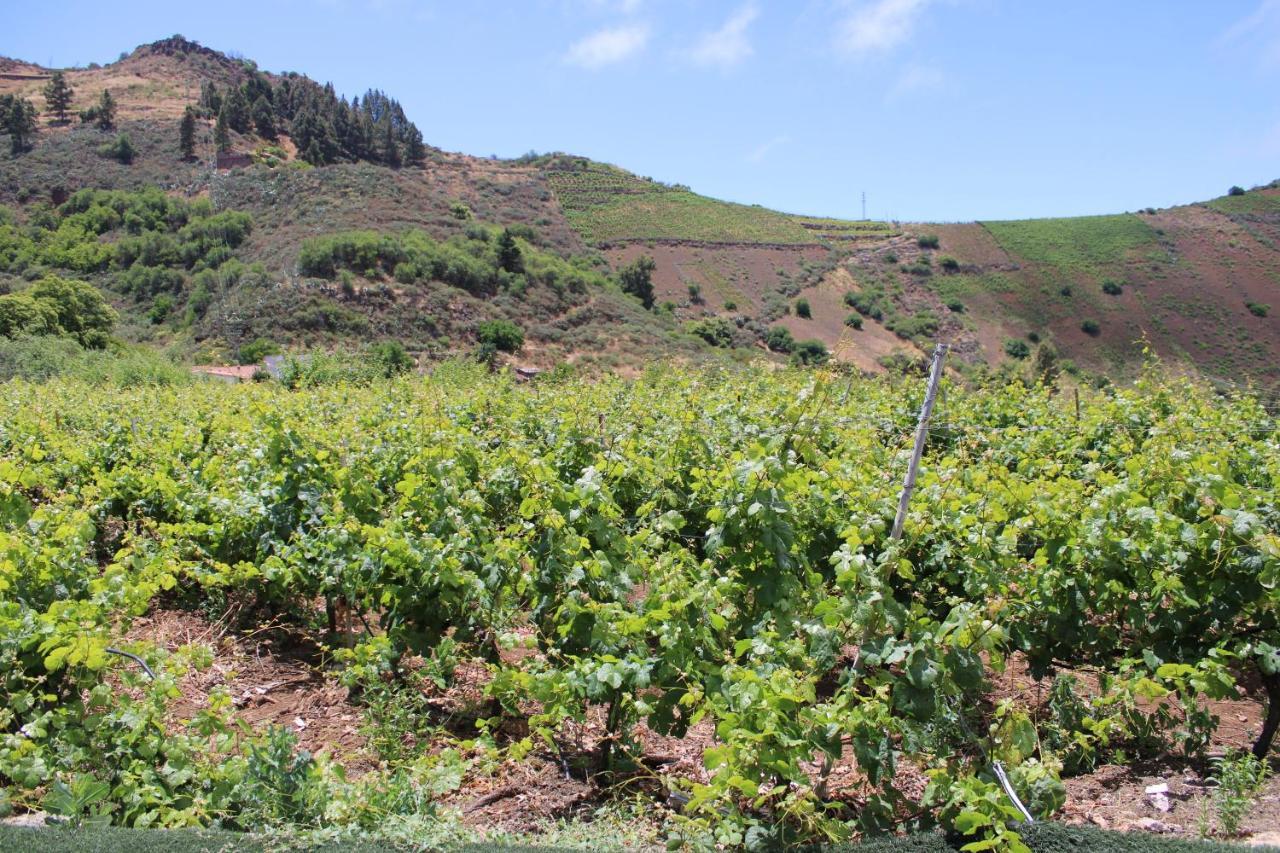 라스팔마스 Finca El Cole 빌라 외부 사진